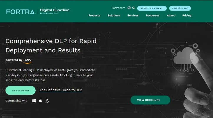 dpf软件官方下载,实地考察数据策略_DP_v5.256