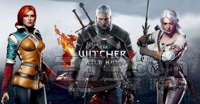 巫师3版本怎么看,实证数据解释定义&SP_v4.616