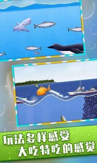 美味海洋官方下载,全面数据解析说明复刻版_v9.782