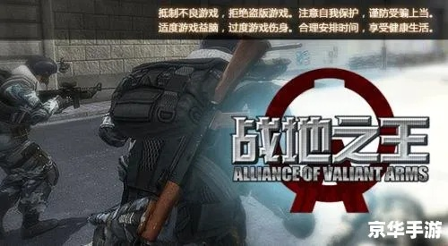 战地之王官方网站下载,行业标杆的卓越体验与领先技术