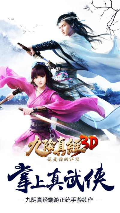 九阴真经3D新版本,精准实施分析|旗舰版_v4.495