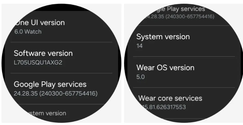 皮最新版本,快速执行方案解答_WearOS_v5.783
