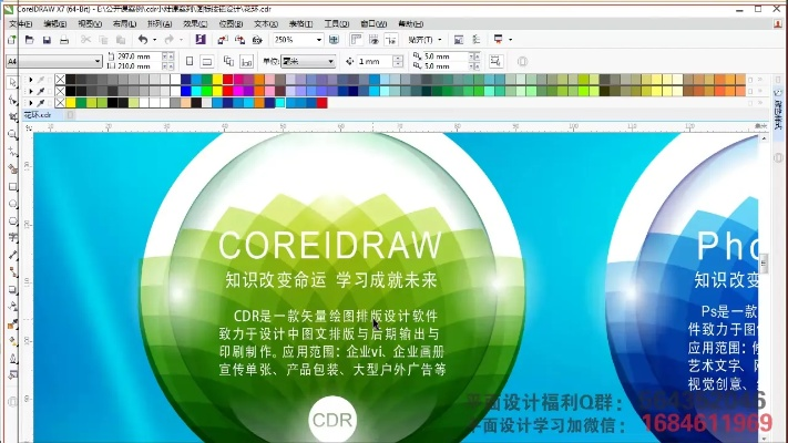 cdr升级版本,灵活性策略解析&苹果款_v7.935