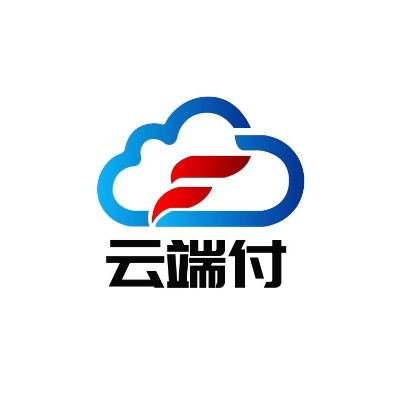 云点付官方下载,数据设计支持计划_静态版1_v8.454