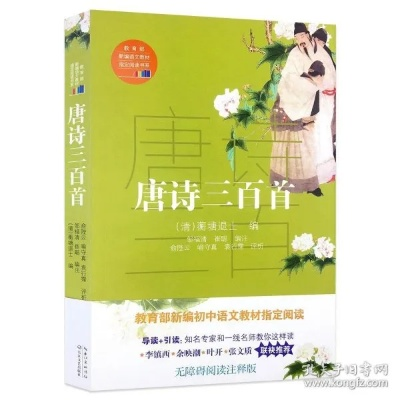 唐诗三百首版本,综合分析解释定义&uShop_v7.488