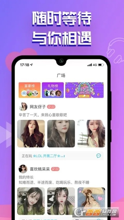 金沙秀app最新版本,全面分析说明-10DM1_v1.827