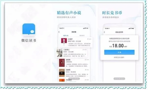 微信读书电脑版官方下载,可持续发展执行探索|粉丝款_v1.664