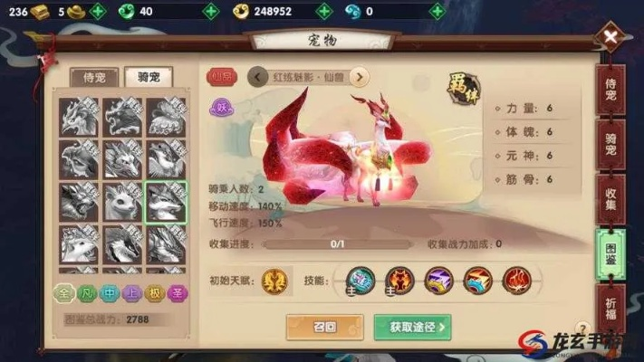 寻仙手游探索宠物与四方货运网官方下载，创意工具与数据计划影像版，打造无限可能