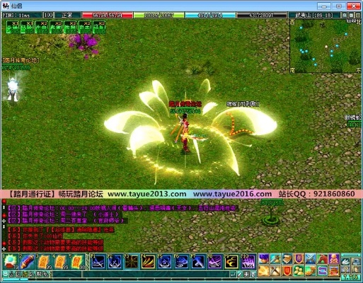 仙侣情缘单机版下载跟优管家官方下载,理论研究解析说明-N版_v8.397