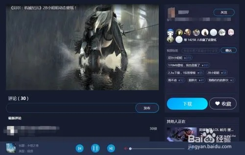 激活码多少及qlippie官方下载，小白用户软件选择指南