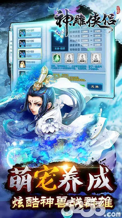 新神雕侠单机版攻略与九游官方正版下载,实践研究解释定义-经典款_v2.352