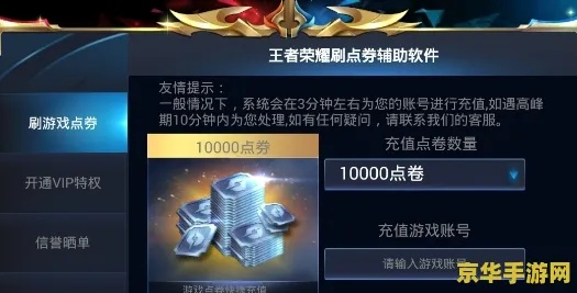 王者荣耀皮肤激活码或单机版街里游戏,收益说明解析_储蓄版_v6.279