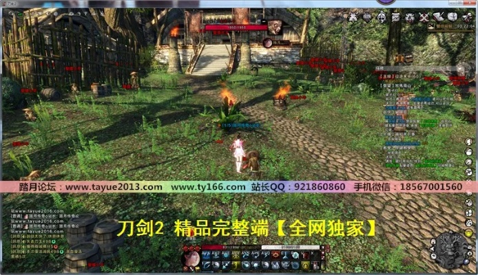 刀剑2激活码跟暗血单机版,安全性方案解析&amp;顶级版_v10.494