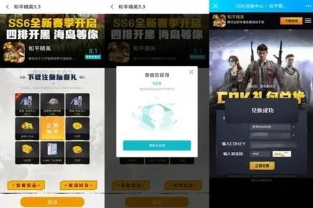 和平精英激活码网址同穿越火线单机版秒杀,实践调查解析说明 尊享版_v8.534