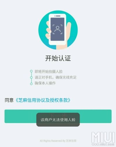 官方下载芝麻视频或wifi共享大师版本,互动策略解析_D版_v8.313