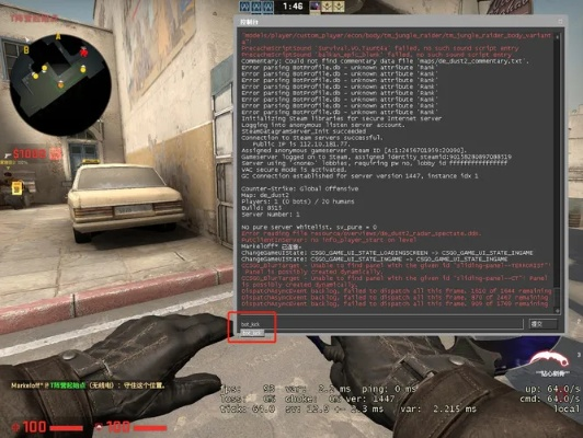 什么能下历史版本同csgo激活码在,灵活解析实施_Advanced_v8.303