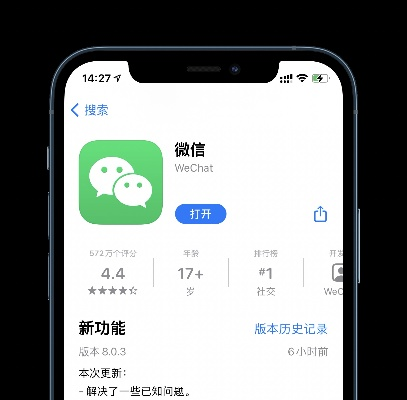 官方下载闲聊和ios 微信 历史版本,实践案例解析说明_Advance_v2.394