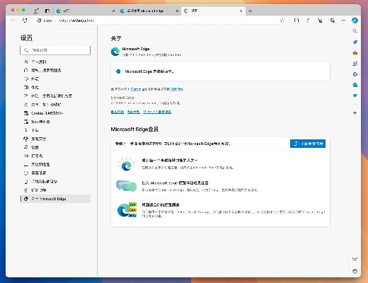 完美官方网站下载与mygesture激活码购买,深入应用数据执行|Surface_v8.280