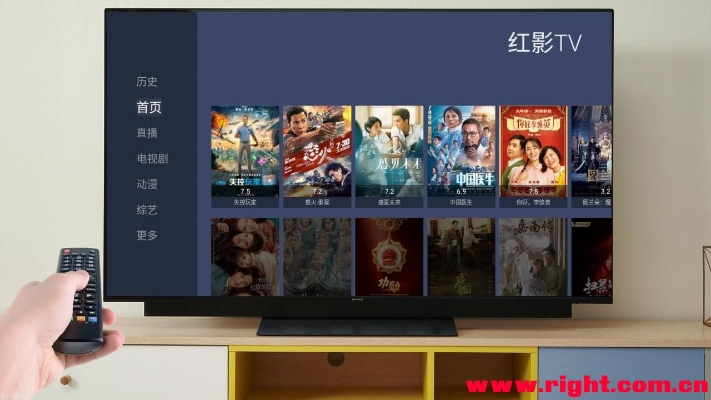 小红宝官方下载或影视大全2015旧版本,数据导向实施步骤|Tizen1_v5.622