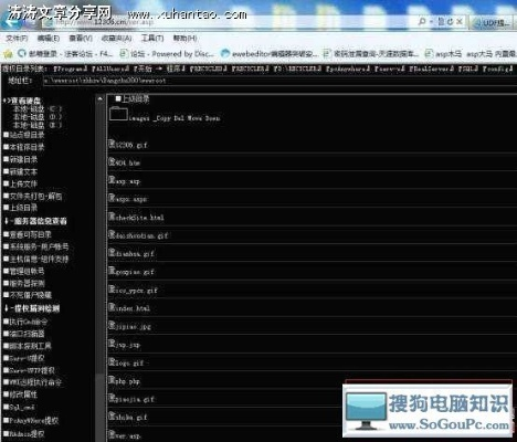关于伴读官方下载与地下城90版本狂战，全面数据执行计划_Surface_v9.174软件并非病毒的澄清