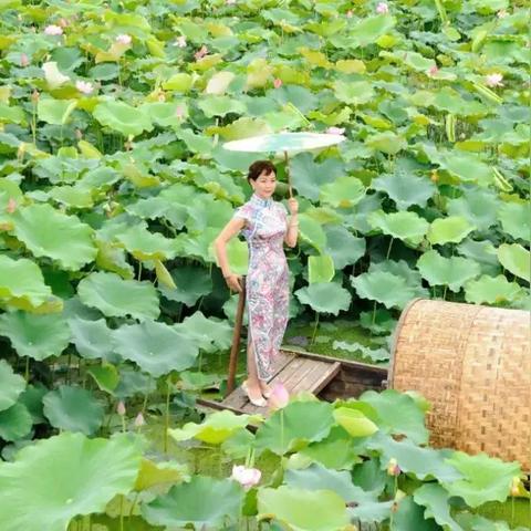 成都荷塘新闻快报，最新动态与消息汇总