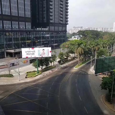 当阳汽油今日油价最新动态与市场解析