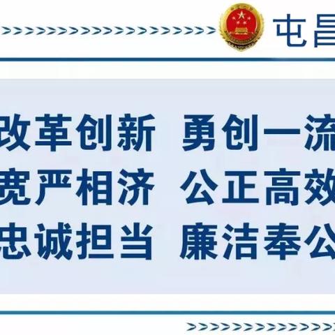 海南屯昌最新新闻头条