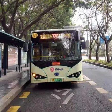 深圳公交最新动态解析