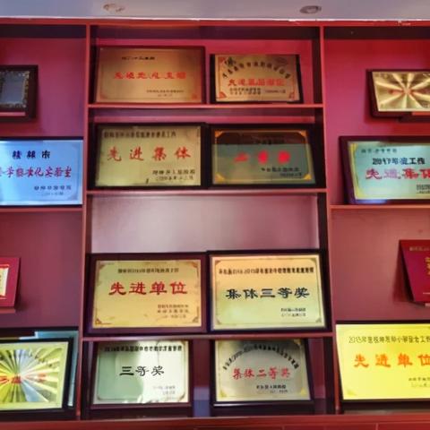 东营沙子镇，繁荣小镇开启新篇章