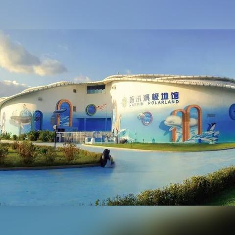 哈尔滨地铁最新动态，今日免票政策全面解读