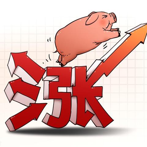 梅州生猪今日行情解析