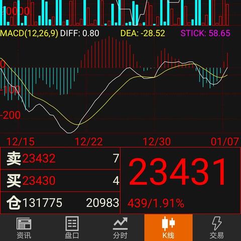 恒指今日最新动态，市场走势、数据解读与行业热点聚焦