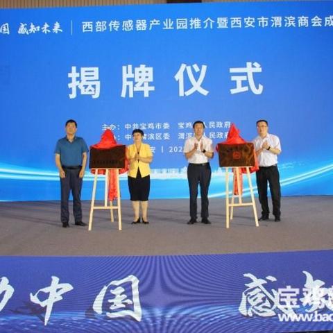 宝鸡市发展活力涌现，最新视频报道与多项数据解读