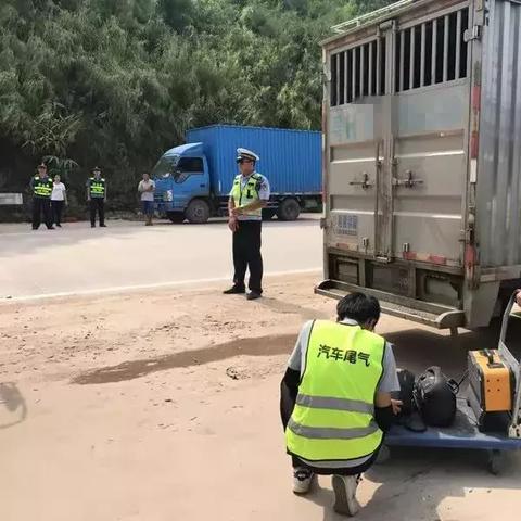 肇庆最新动态深度解析，城市新动向与数据报告