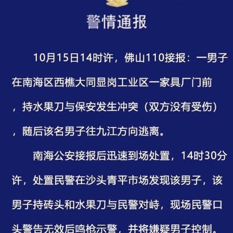 民警鸣枪规则图解，全面解析最新规定