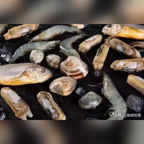 深圳海鲜市场刺伤案最新进展，涉案人数达XX人 处理细节全解析