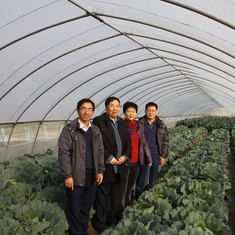 官方阐述：2025年正版资料免费大全最新版本——种业自主 vs 外资垄断