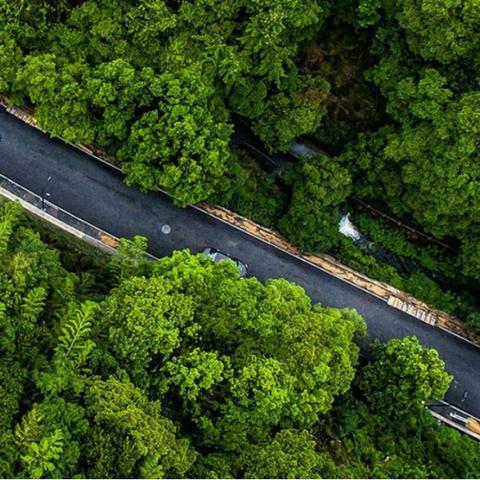 政策表明：2025全年资料免费大全——绿色壁垒
