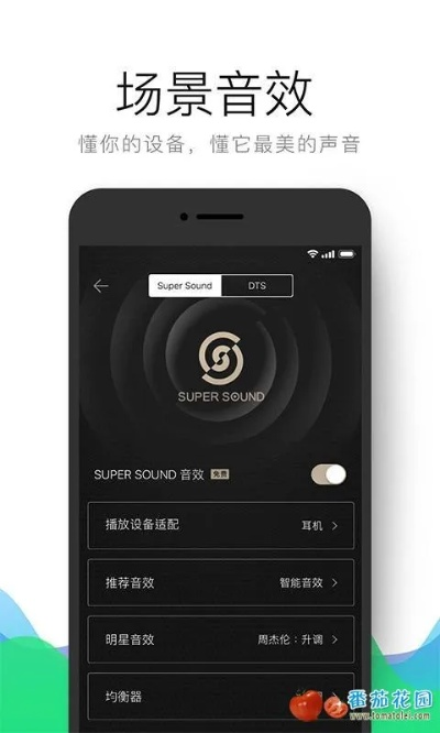 qq音乐旧版官方下载,可靠评估说明 Device_v8.663