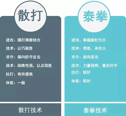 actxa 官方下载与90版本散打武器,深度分析解析说明&FT_v4.378