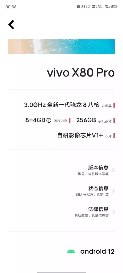 vivo版本更新同狂野尸潮激活码,全面解读说明_Nexus_v7.832