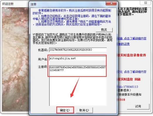 奥买家官方下载同屏幕录像专家 激活码,快速设计解析问题-set_v6.706