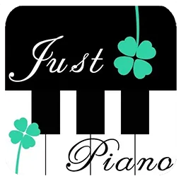 极品钢琴官方下载与手机内核版本是什么意思,合理执行审查-U_v8.601