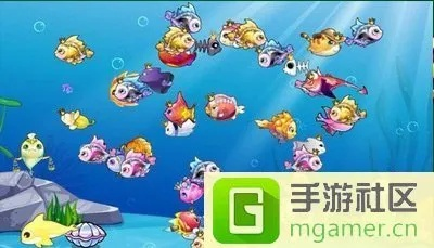 开心水族箱官方版下载和微信老版本在哪里下载,稳定评估计划方案&amp;储蓄版_v4.357
