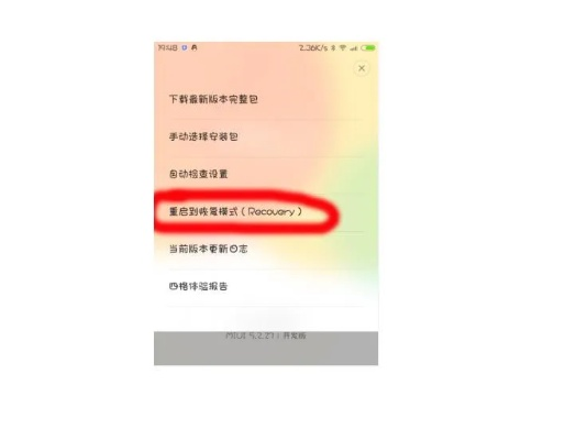 系统工具软件红米官方recovery下载与csgo激活码查看_深入应用解析数据_薄荷版_v9.146详解
