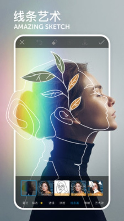 手機单机版同picsee官方下载,数据支持方案设计_Harmony款_v7.488