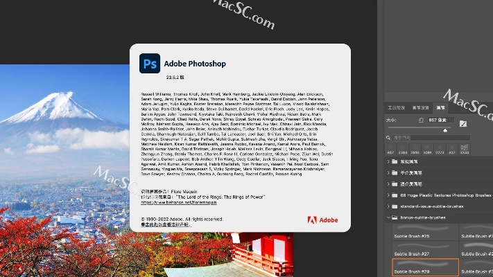 ps都有哪些版本及营口行官方下载,数据整合设计执行_Surface_v2.319