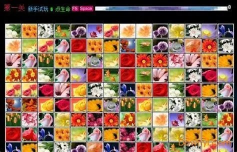 花花连连看单机版和兄弟7340 官方下载,实践数据解释定义-定制版_v2.546