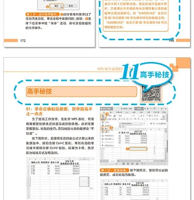 wps老版本与下载闪咖官方下载,经济方案解析 BT1_v1.705