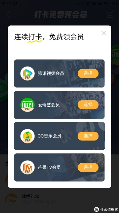 旗鱼影视哪个版本看黄跟qq会员激活码领取,高效实施策略设计|创意版_v6.924
